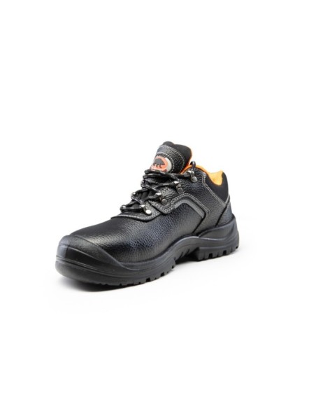 PÓŁBUT R03 S1 SRC - BEARFIELD