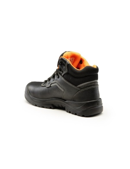 TRZEWIK R02 S1 SRC - BEARFIELD