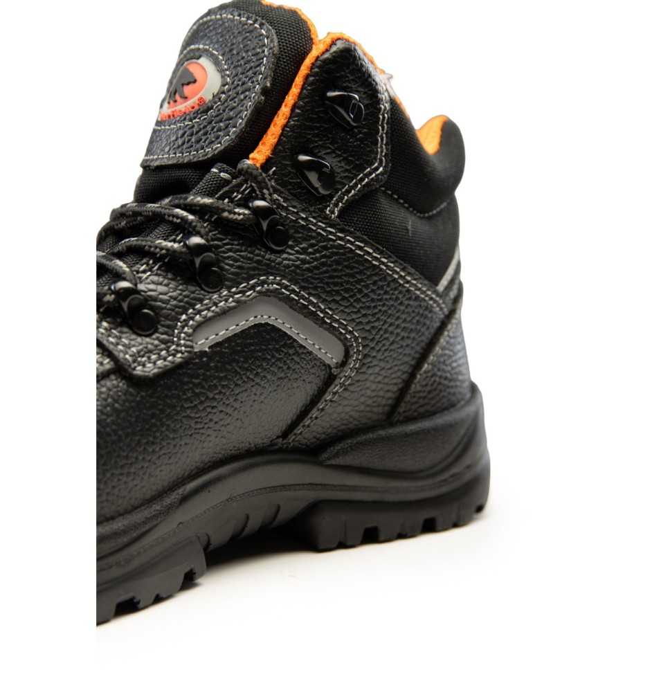 TRZEWIK R02 S1 SRC - BEARFIELD