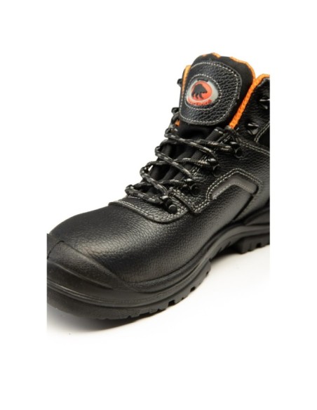 TRZEWIK R02 S1 SRC - BEARFIELD