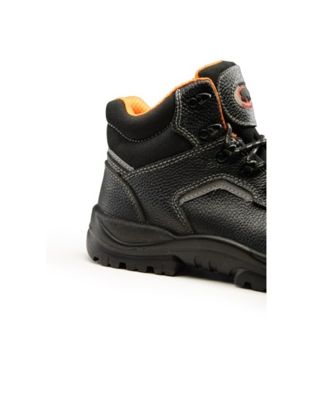 TRZEWIK R02 S3 SRC - BEARFIELD