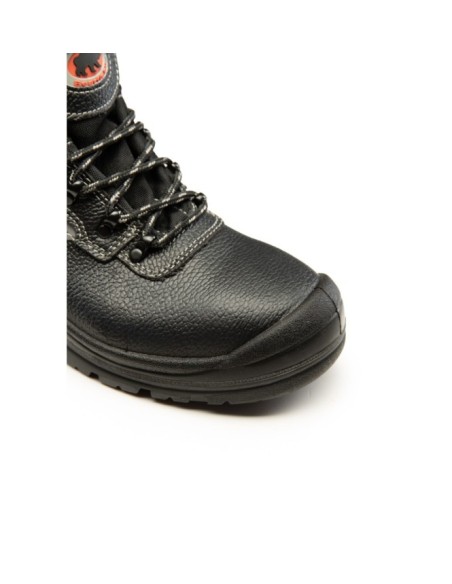 TRZEWIK R02 S3 SRC - BEARFIELD