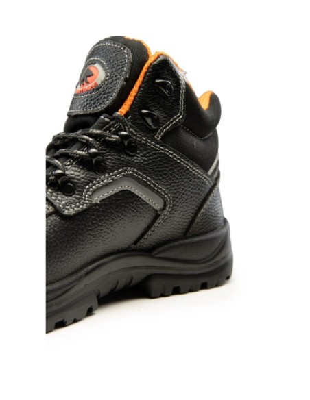 TRZEWIK R02 S3 SRC - BEARFIELD