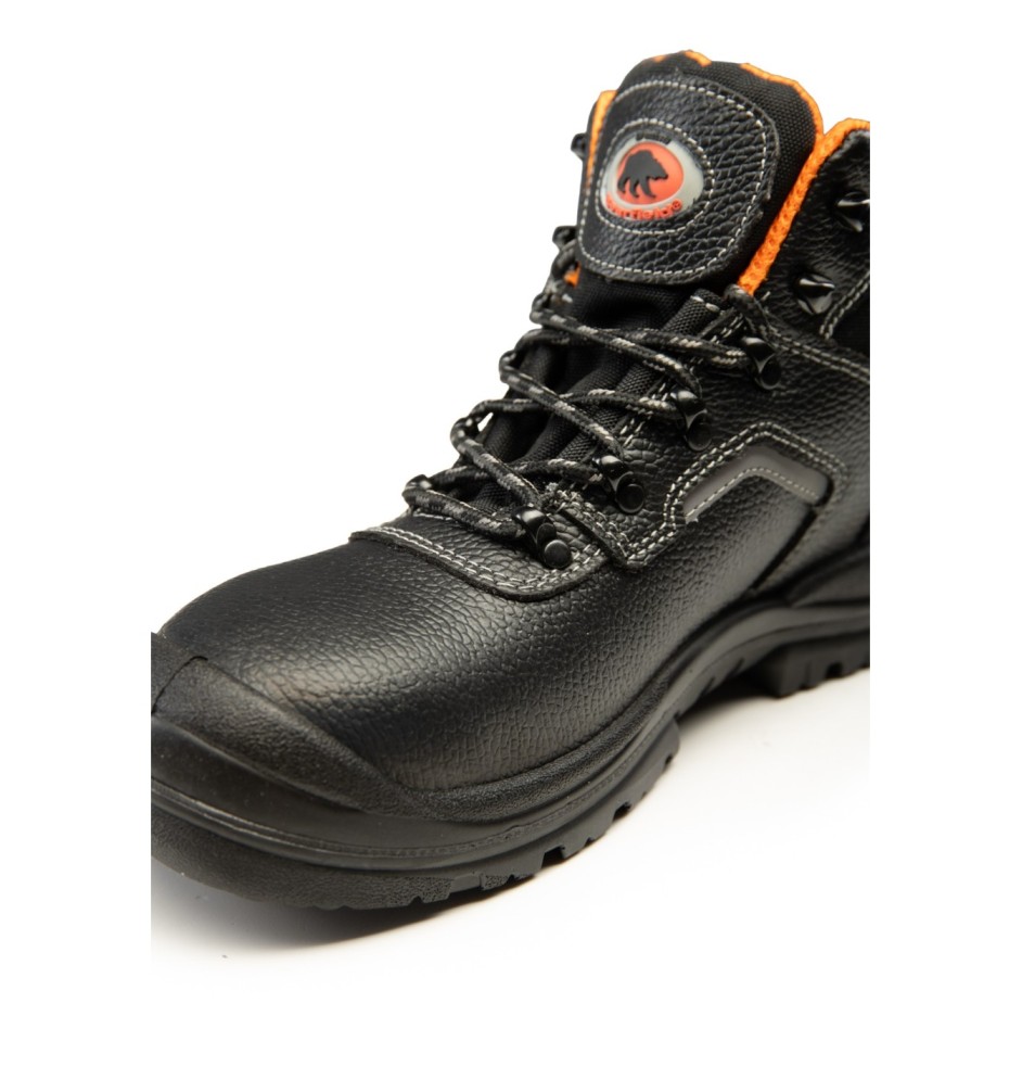 TRZEWIK R02 S3 SRC - BEARFIELD