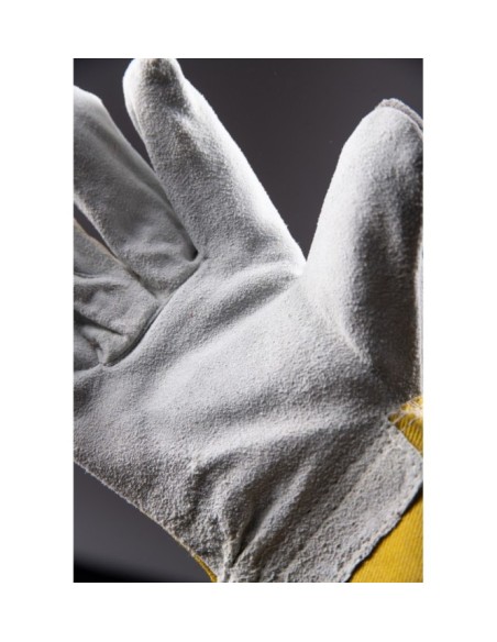 PLS-1 LUX/Ż KAT. II - PLS