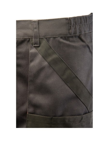 SPODNIE DO PASA - BRIXTON PRACTICAL