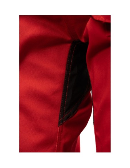 SPODNIE DO PASA RUBIN - SEVEN KINGS